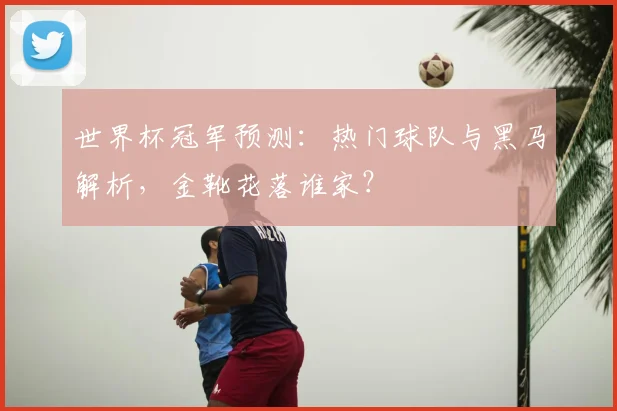 世界杯冠军预测：热门球队与黑马解析，金靴花落谁家？